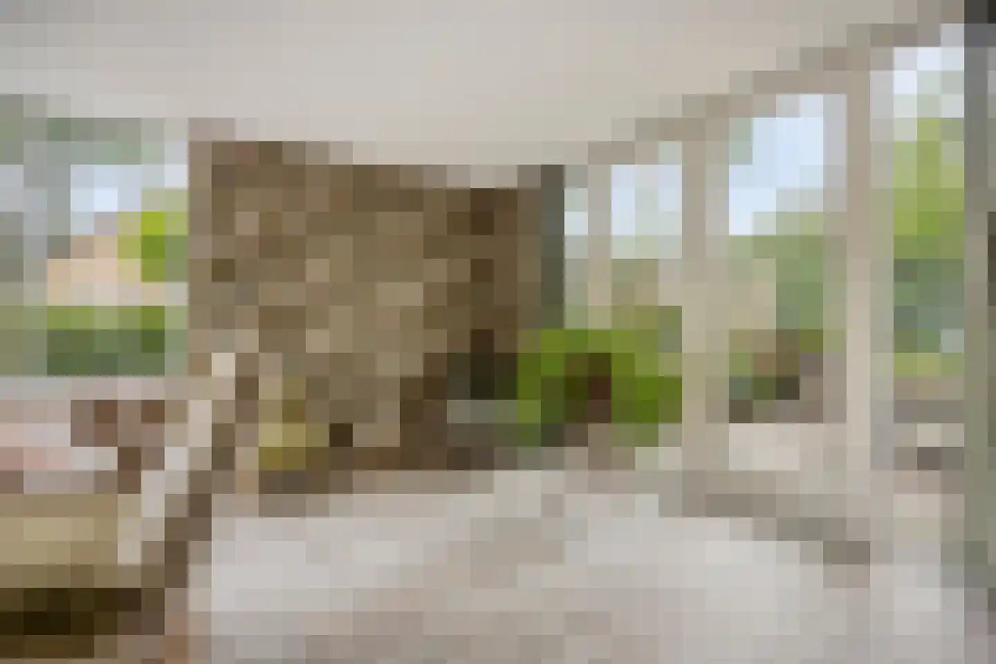 Molenbeek 12 Vaassen thumbnail 9