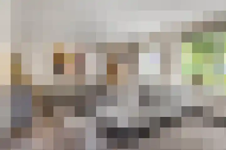 Molenbeek 22 Kaatsheuvel thumbnail 10