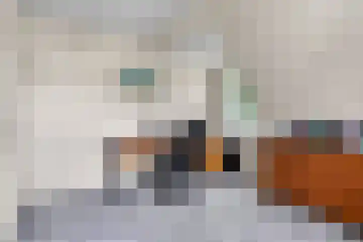 Molenbeek 22 Kaatsheuvel thumbnail 33