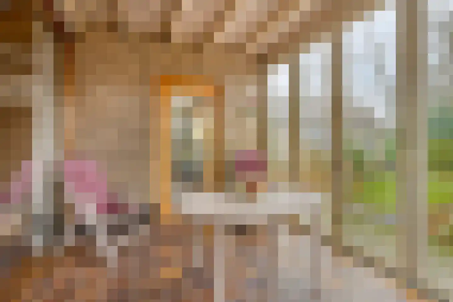 Molenbeek 23 Vaassen thumbnail 15