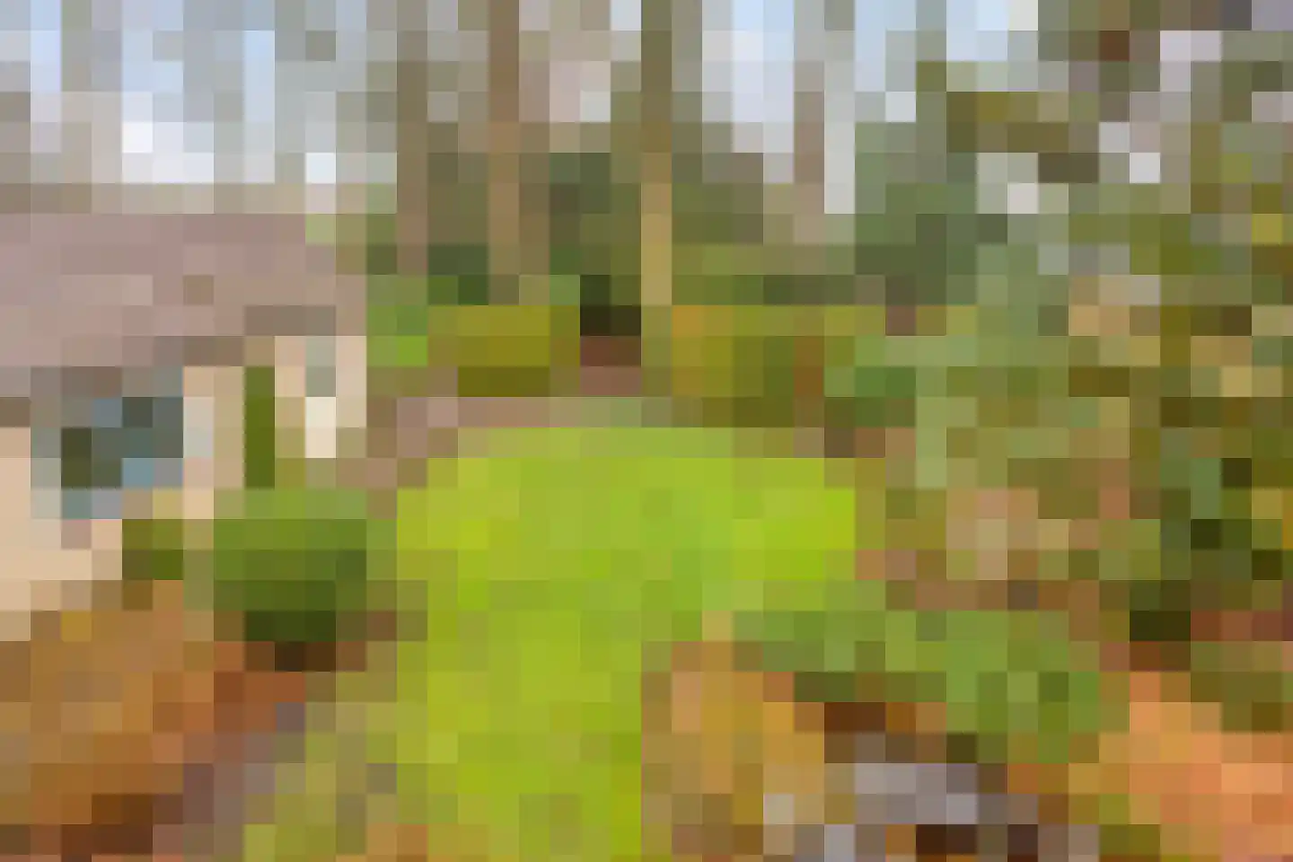 Molenbeek 23 Vaassen thumbnail 33