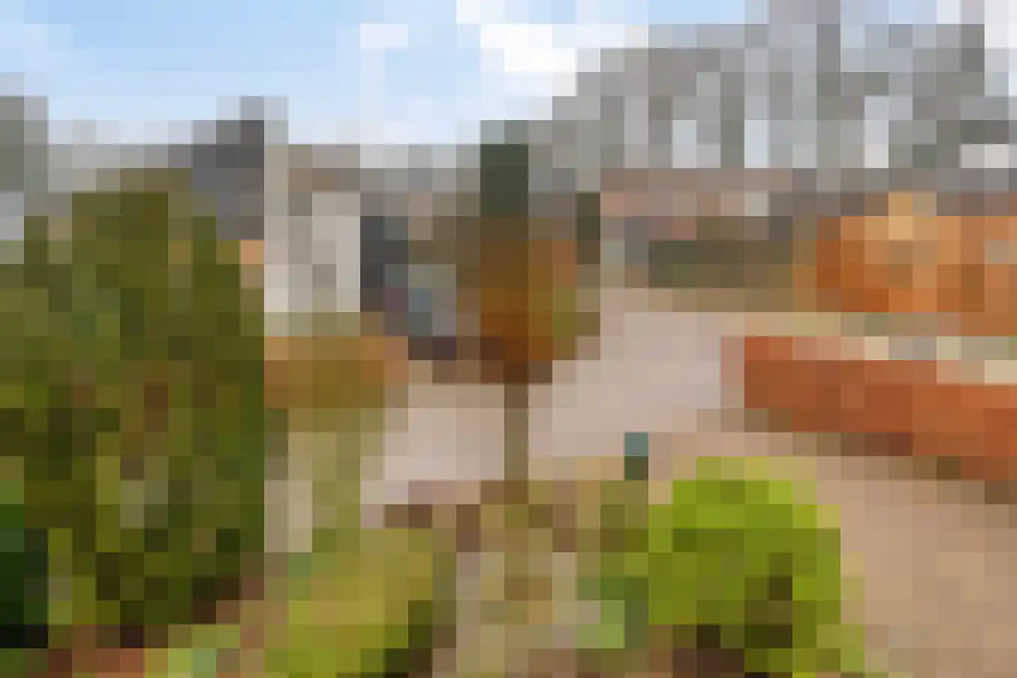 Molenbeek 23 Vaassen thumbnail 39