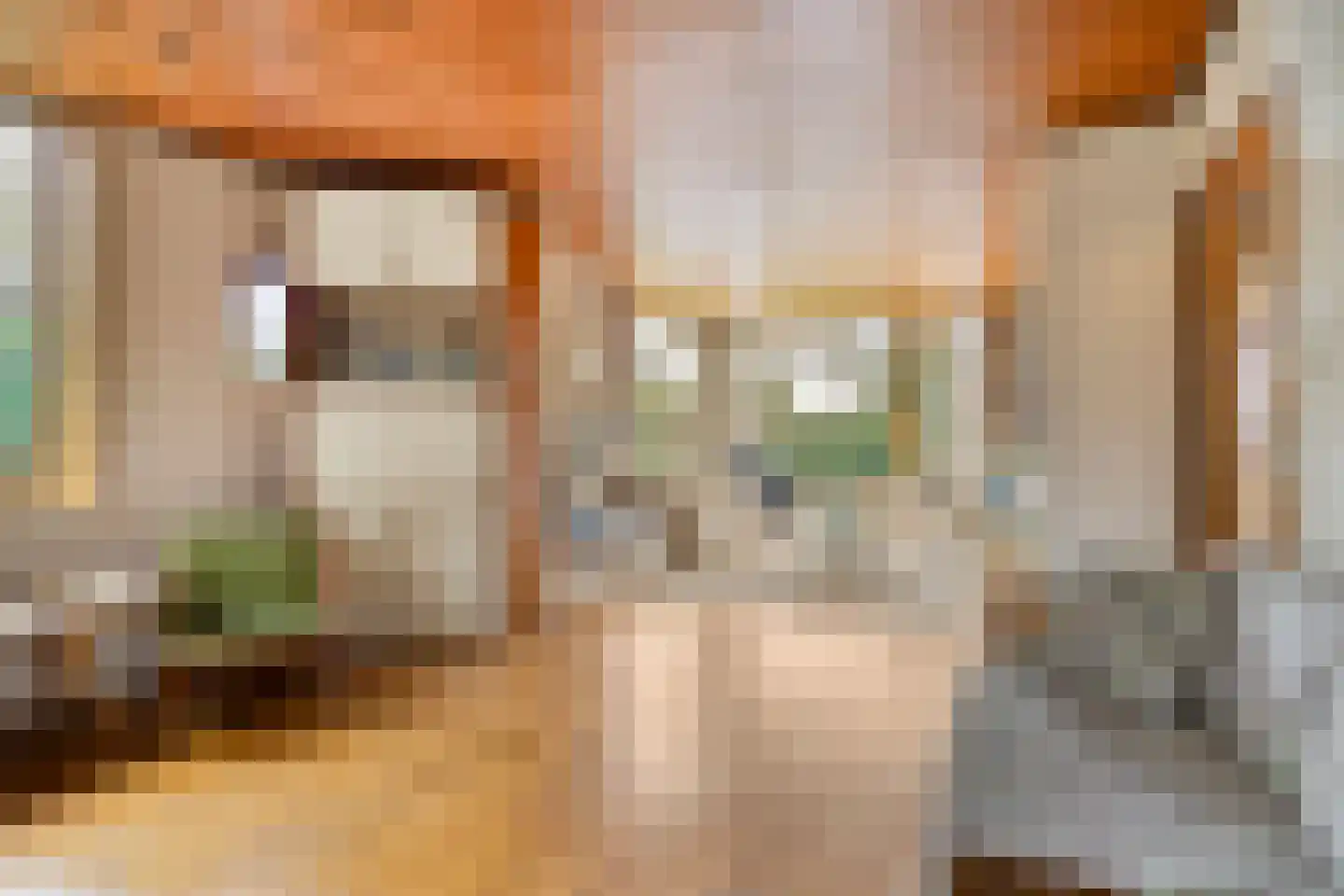 Molenbeek 23 Vaassen thumbnail 8