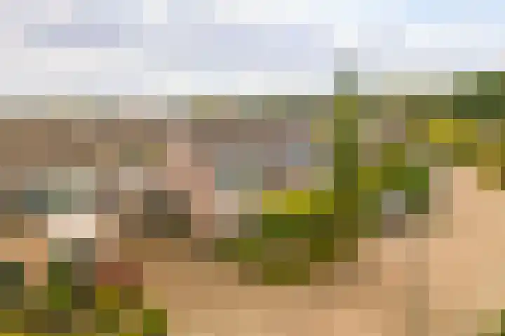 Molenbeek 3 Loenen thumbnail 33