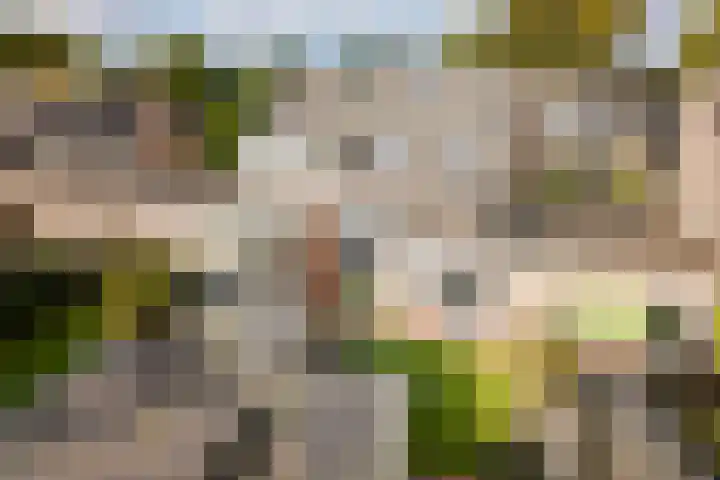 Molenbeek 3 Loenen thumbnail 35