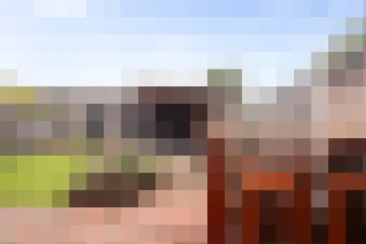 Molenbeek 3 Loenen thumbnail 5