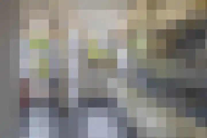 Molenbeek 3 Tegelen thumbnail 11