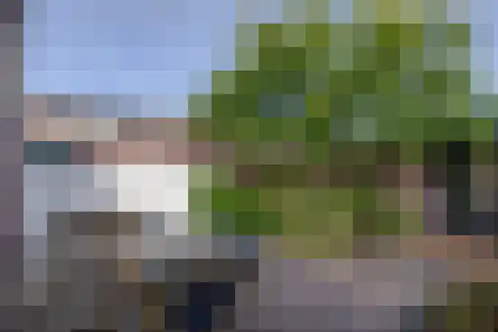 Molenbeek 3 Tegelen thumbnail 20