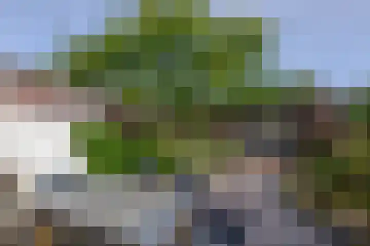 Molenbeek 3 Tegelen thumbnail 21