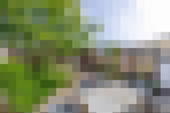 Molenbeek 3 Tegelen thumbnail 22
