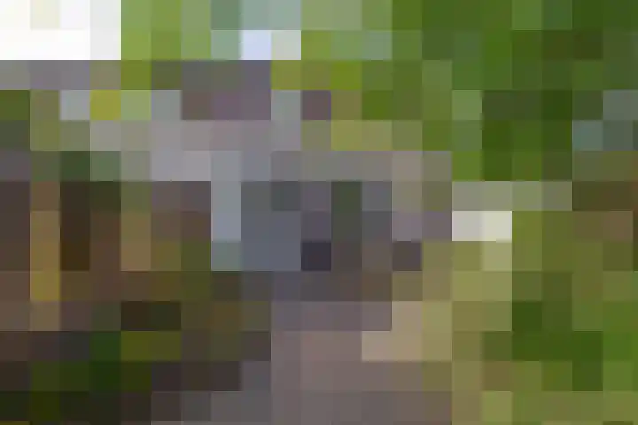 Molenbeek 3 Tegelen thumbnail 23