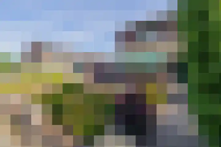 Molenbeek 3 Tegelen thumbnail 27