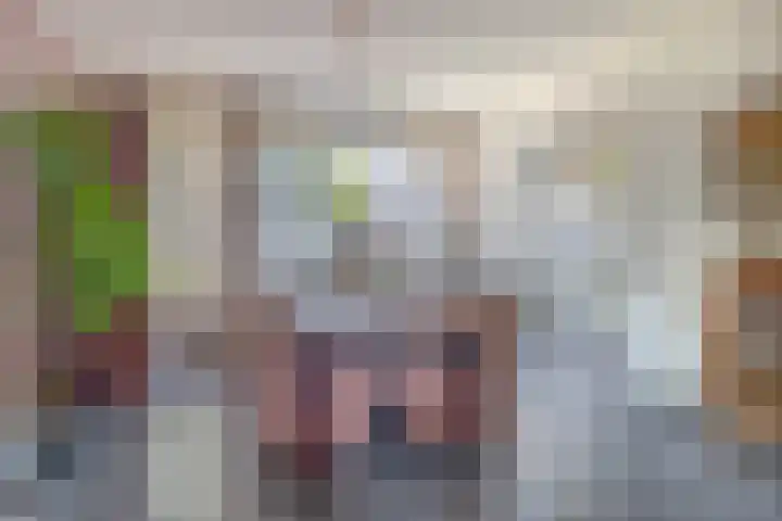 Molenbeek 3 Tegelen thumbnail 9