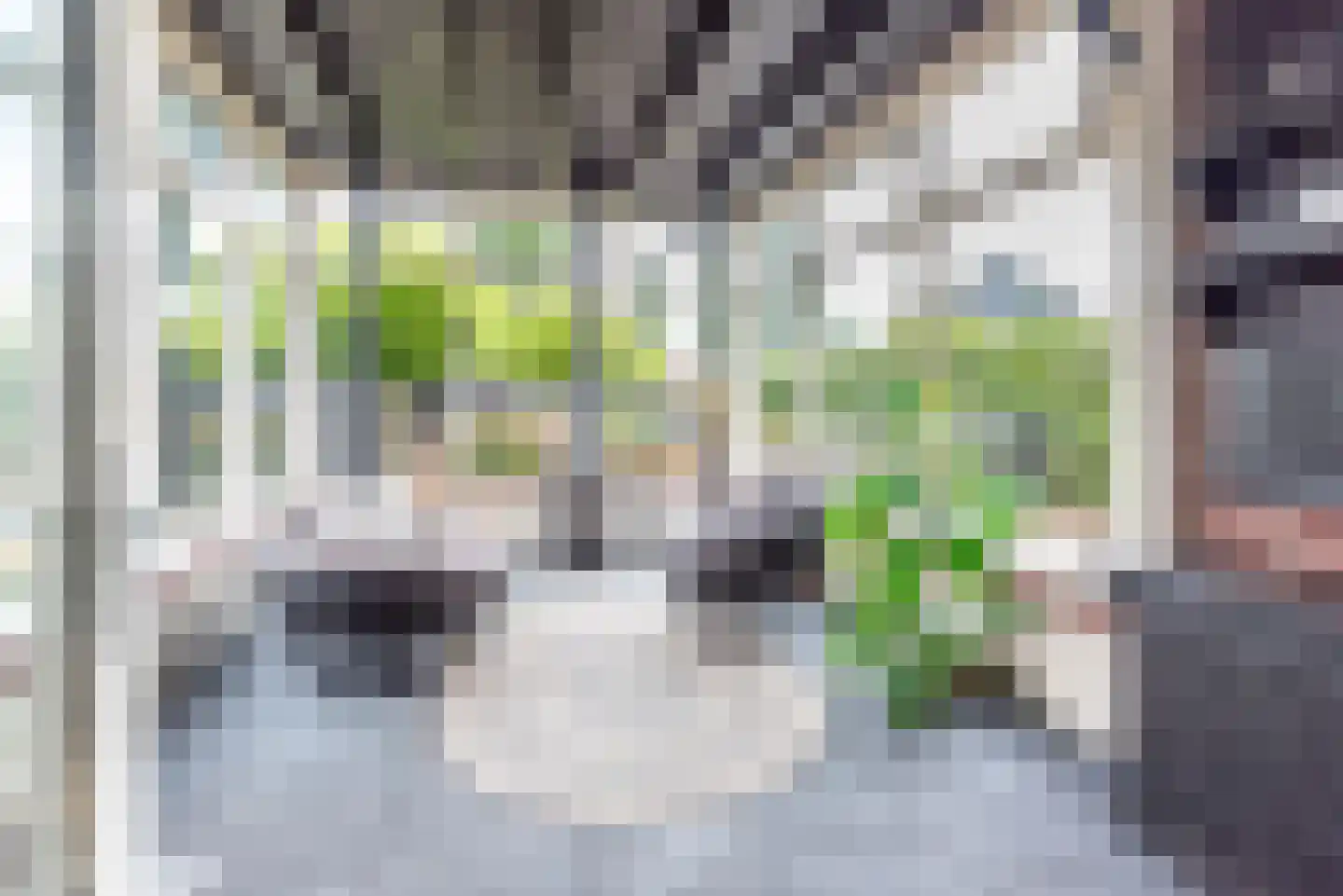 Molenbeek 5 Ulft thumbnail 17