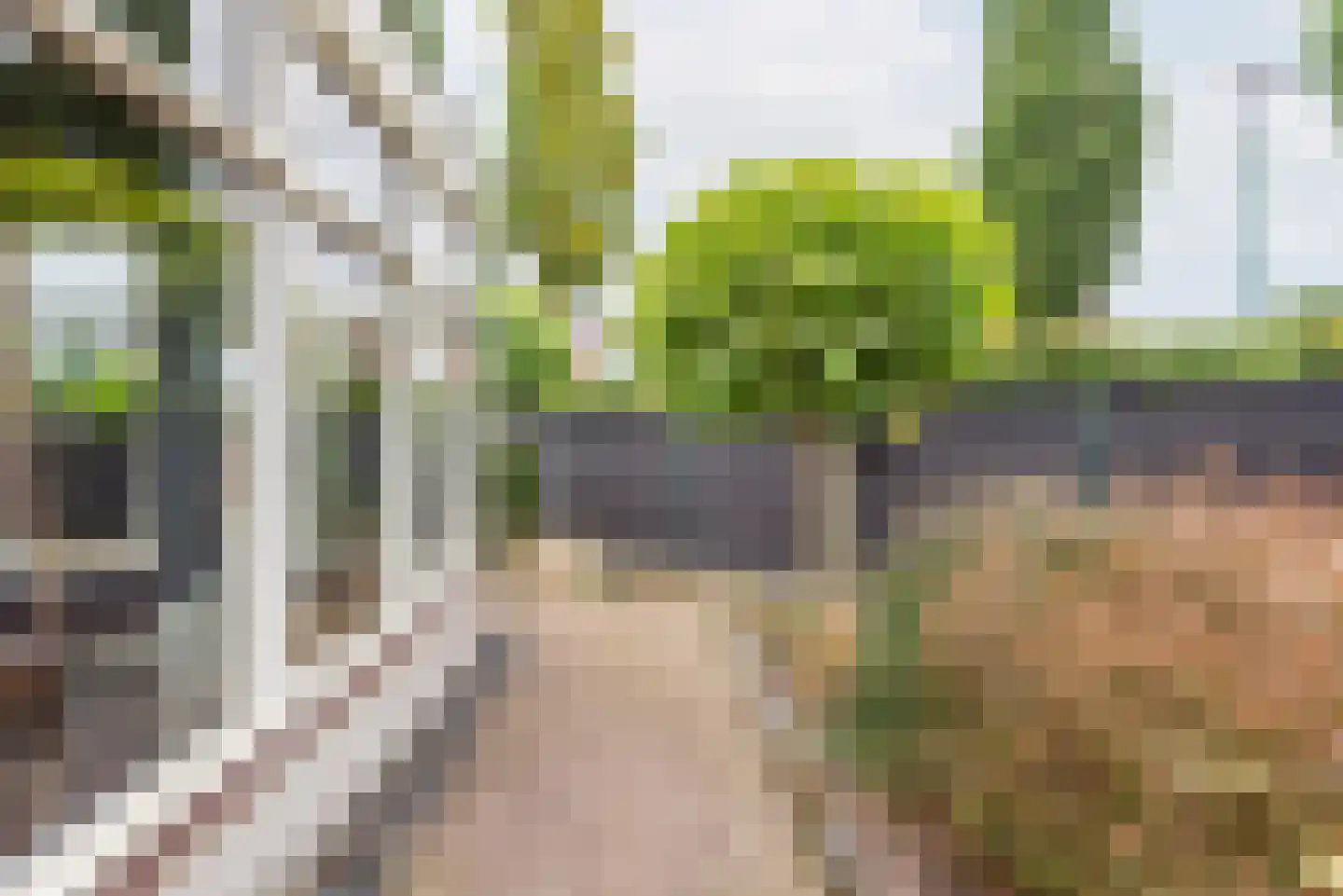 Molenbeek 5 Ulft thumbnail 39