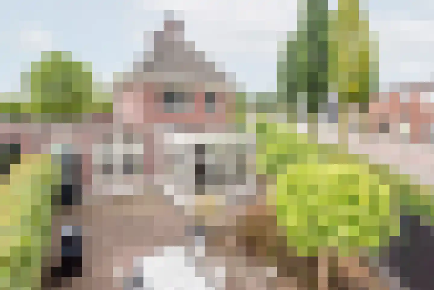 Molenbeek 5 Ulft thumbnail 4