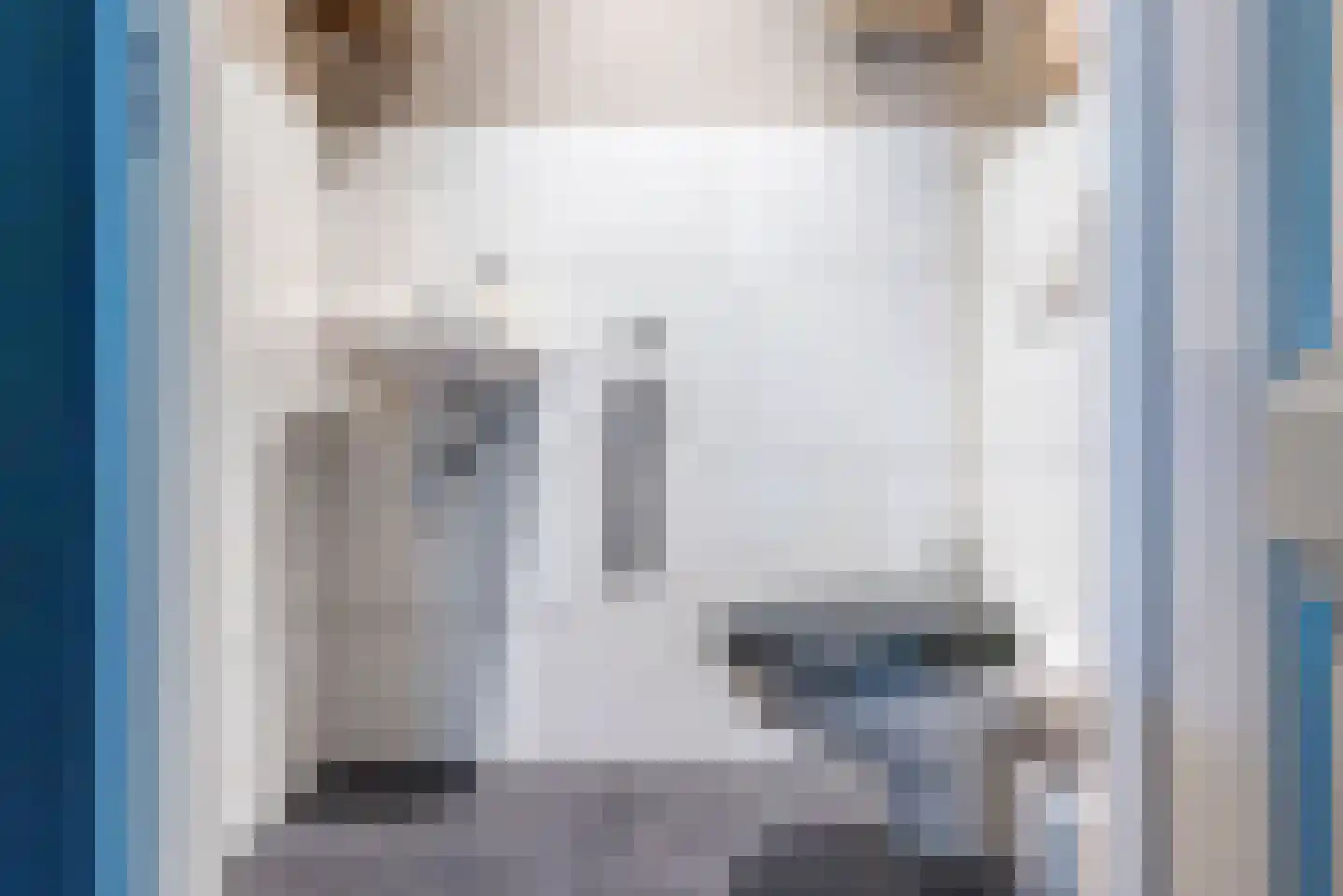 Molenbeek 5 Ulft thumbnail 8