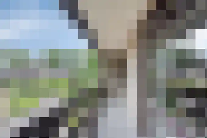 Molenbeek 9 Vaassen thumbnail 19