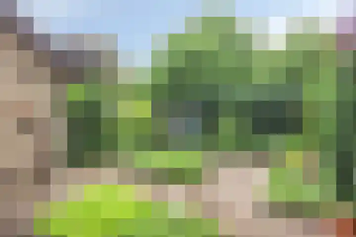 Molenbeek 9 Vaassen thumbnail 27