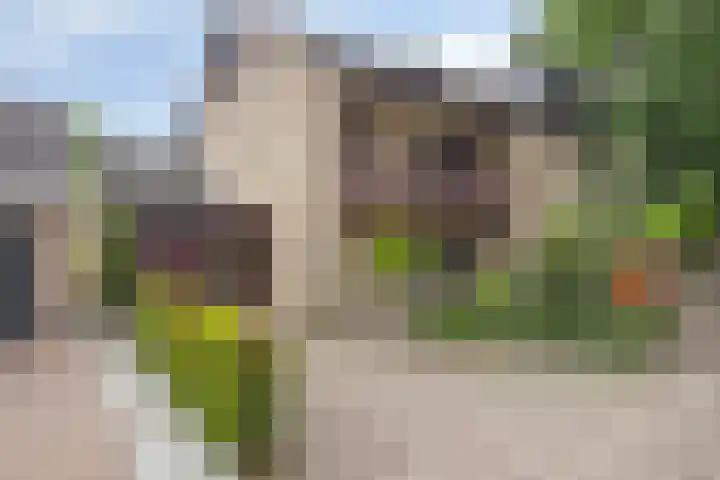 Molenbeek 9 Vaassen thumbnail 31