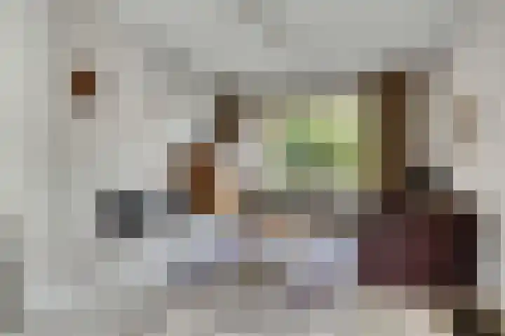 Molenbeek 9 Vaassen thumbnail 6