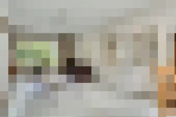 Molenbeek 9 Vaassen thumbnail 9