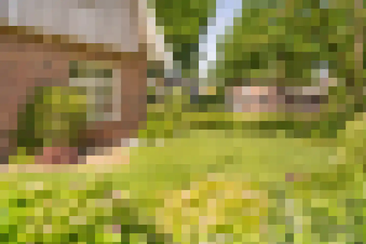 Molenbeekpark 2 Rijssen thumbnail 27