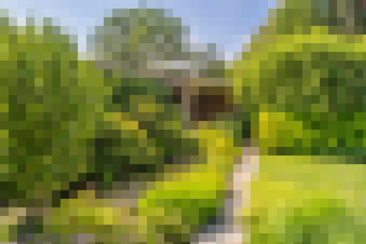 Molenbeekpark 2 Rijssen thumbnail 30