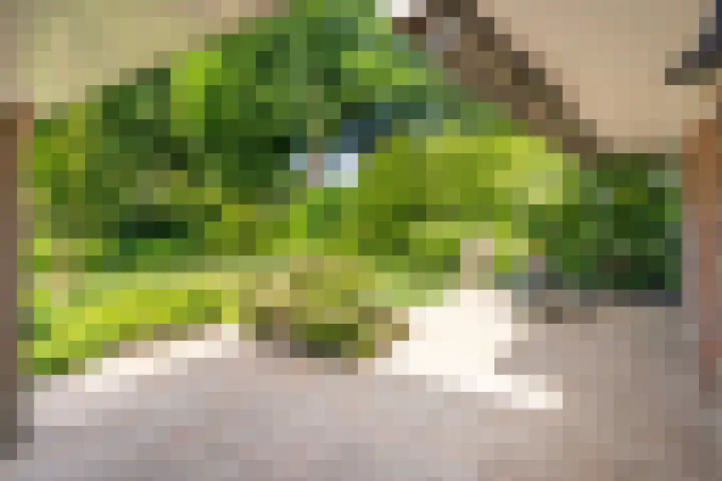 Molenbeekpark 2 Rijssen thumbnail 32