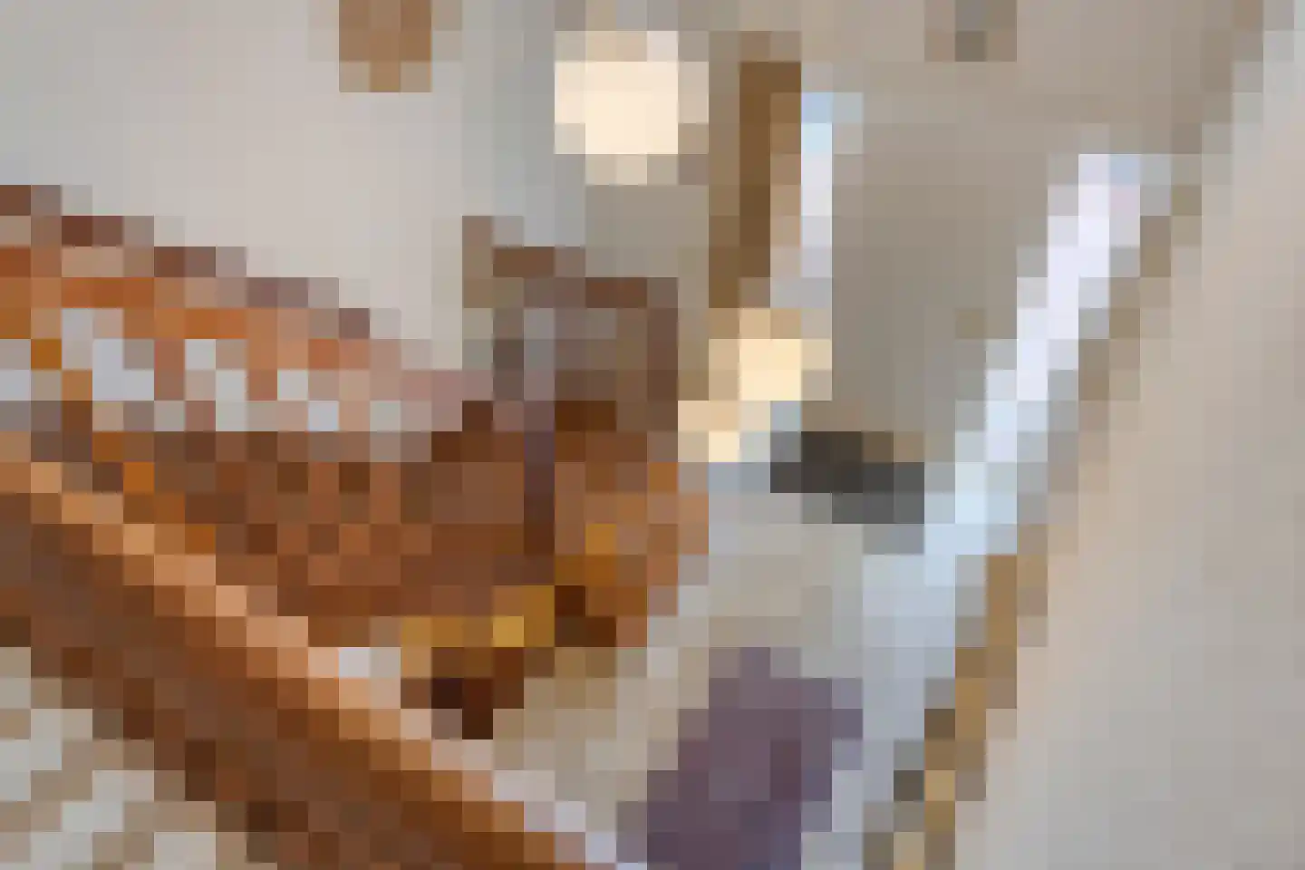 Molenbeekpark 38 Rijssen thumbnail 33