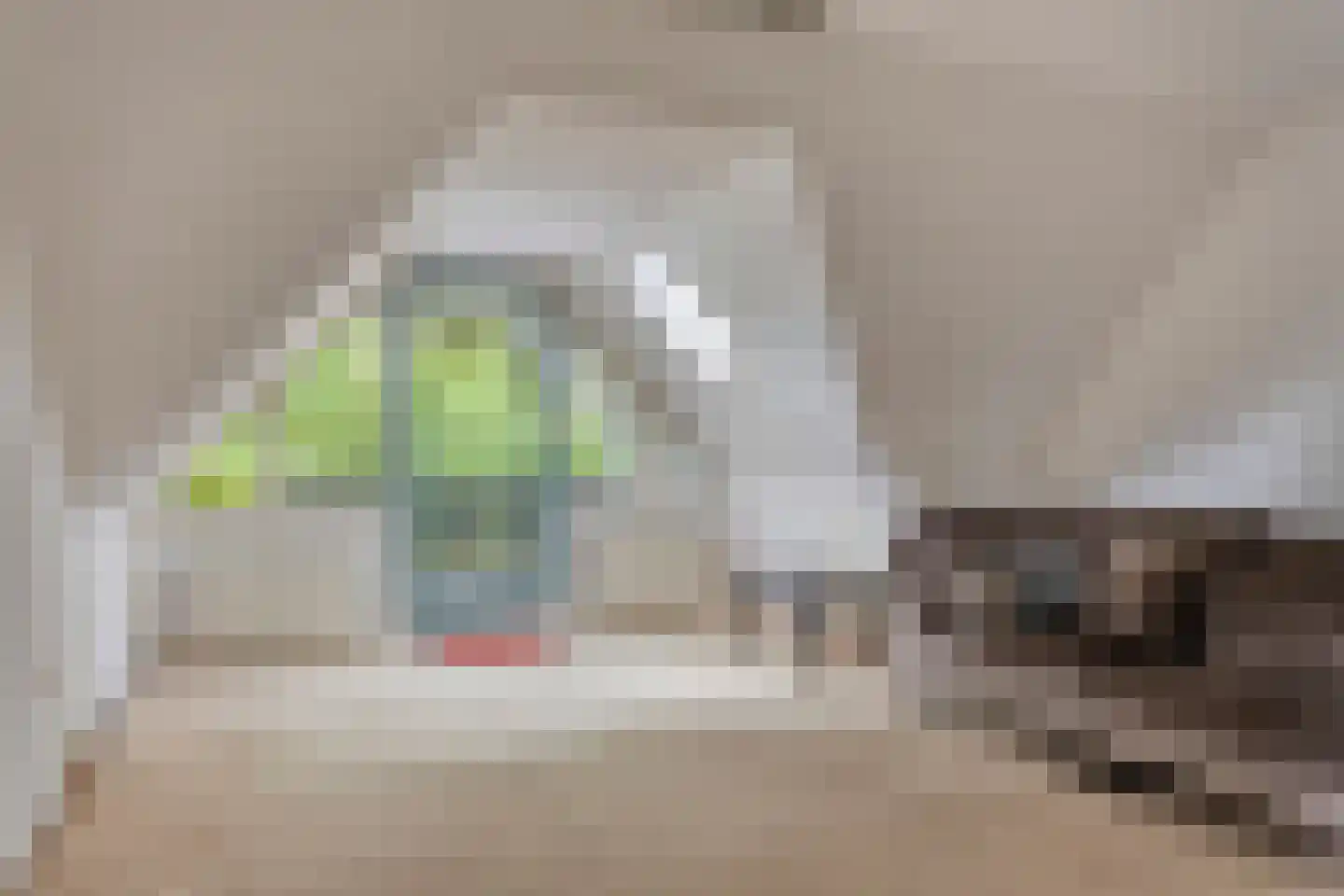 Molenbeekpark 38 Rijssen thumbnail 38