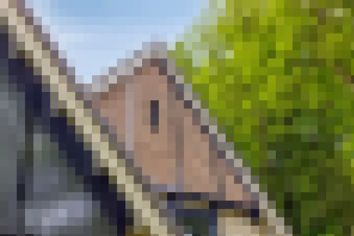 Molenbeekpark 38 Rijssen thumbnail 46
