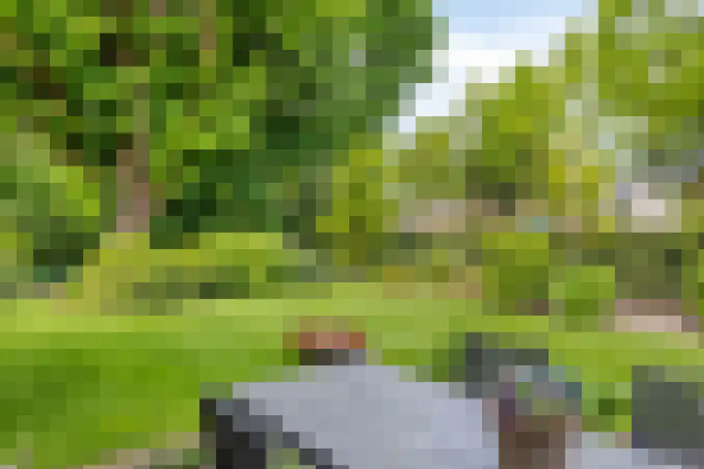 Molenbeekpark 38 Rijssen thumbnail 47