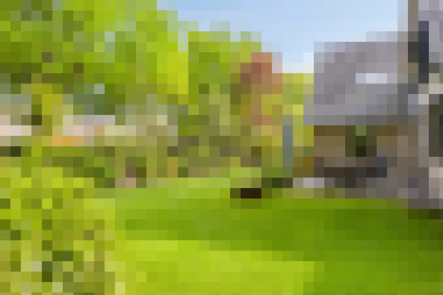 Molenbeekpark 38 Rijssen thumbnail 49