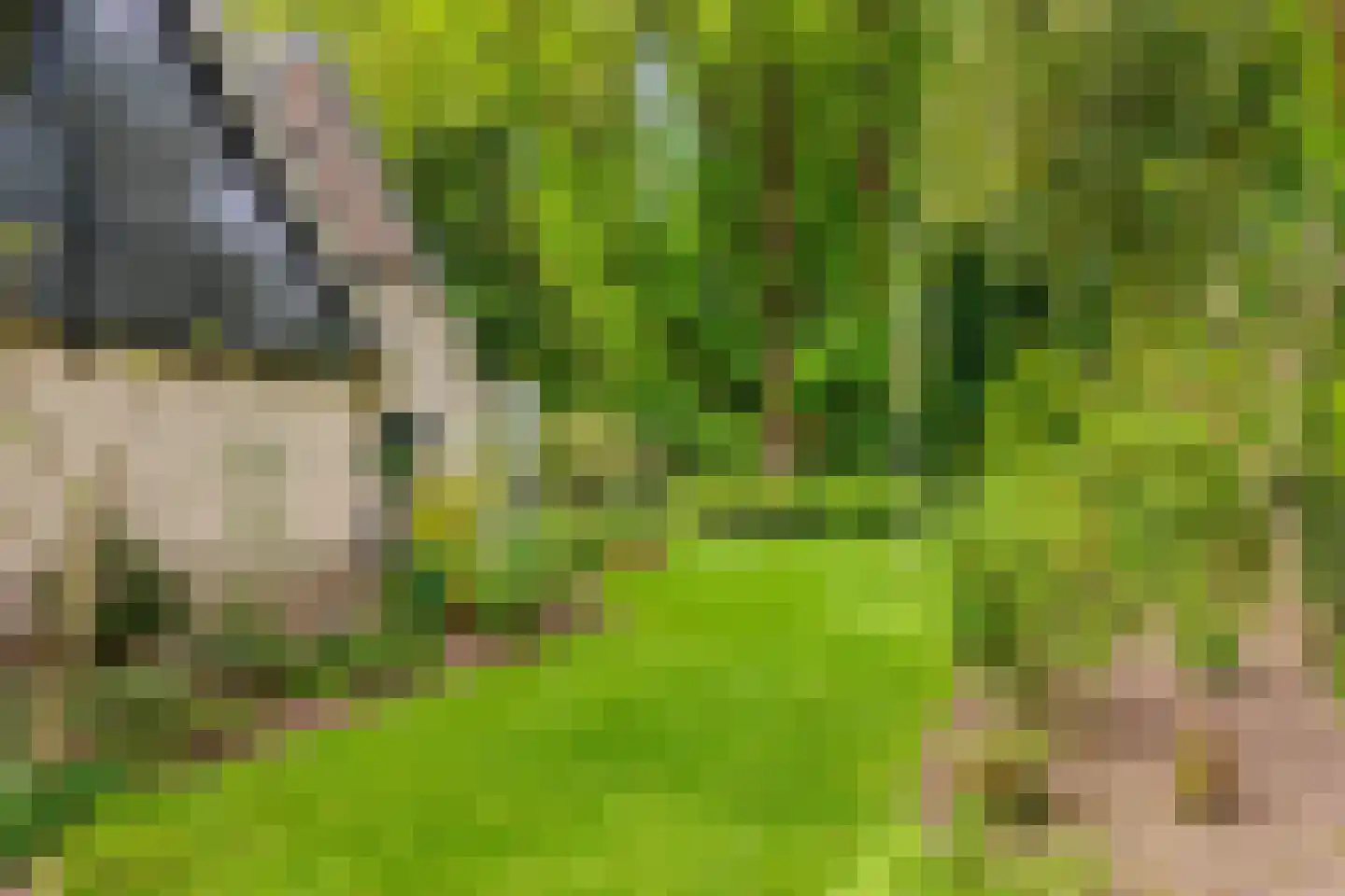 Molenbeekpark 38 Rijssen thumbnail 50