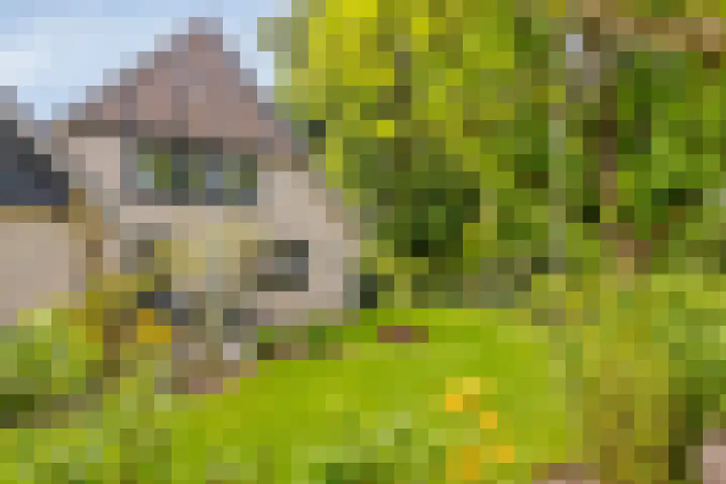 Molenbeekpark 38 Rijssen thumbnail 51