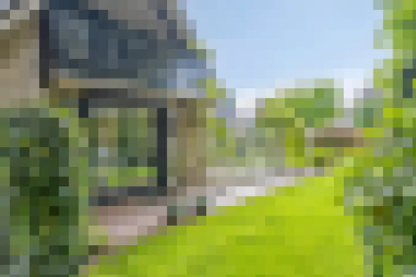 Molenbeekpark 38 Rijssen thumbnail 52