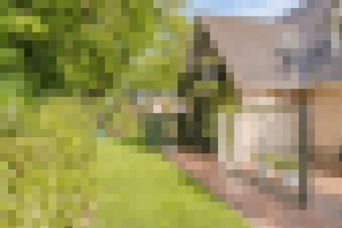 Molenbeekpark 38 Rijssen thumbnail 53