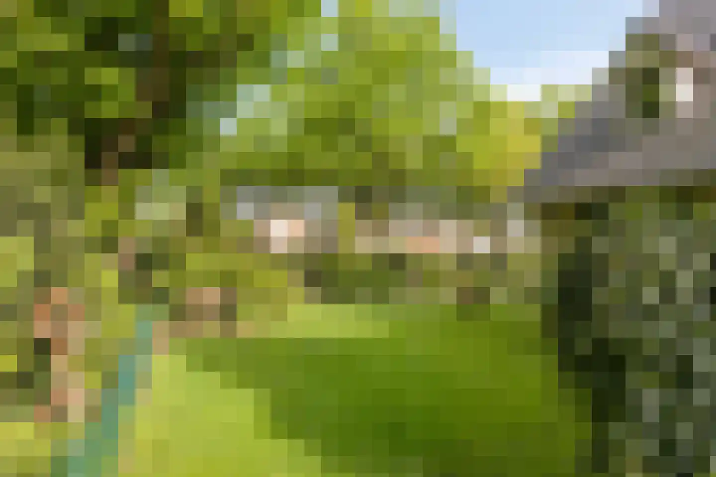 Molenbeekpark 38 Rijssen thumbnail 54
