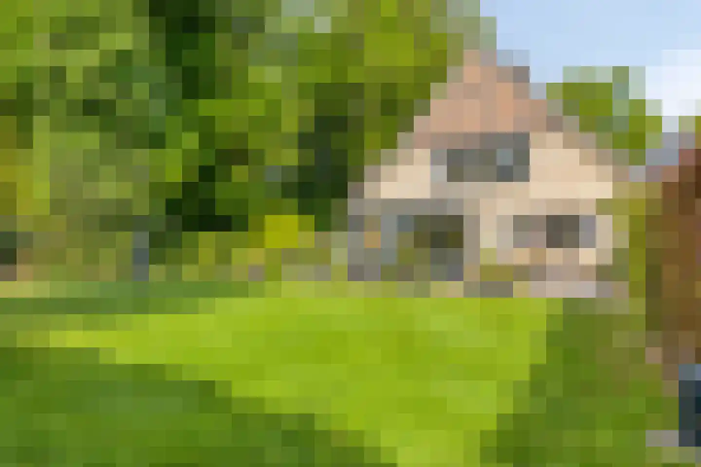 Molenbeekpark 38 Rijssen thumbnail 58