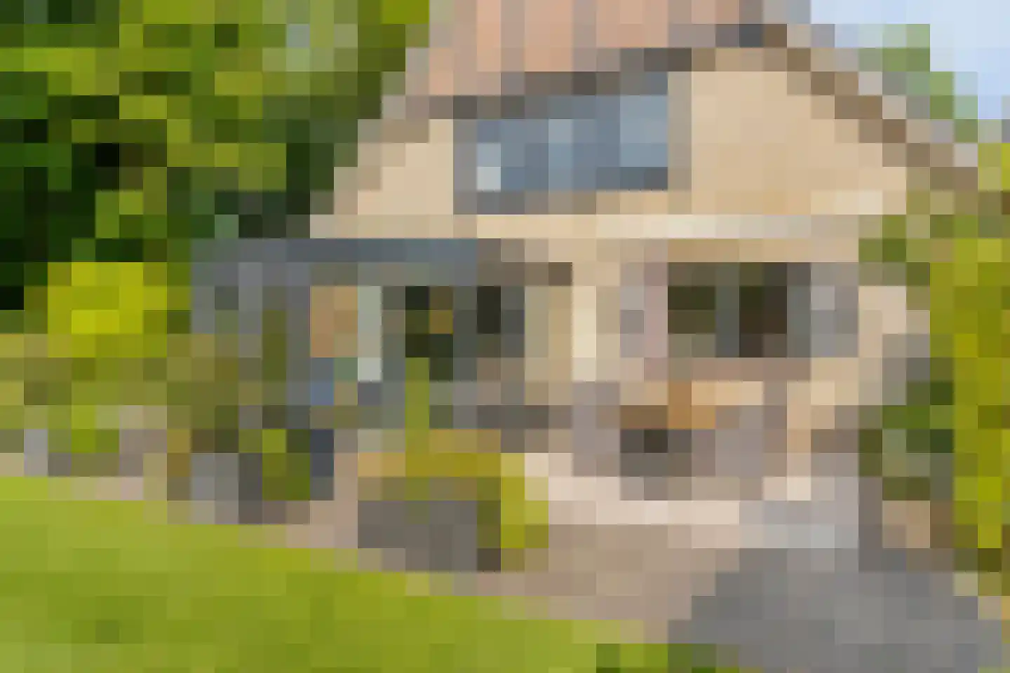 Molenbeekpark 38 Rijssen thumbnail 59