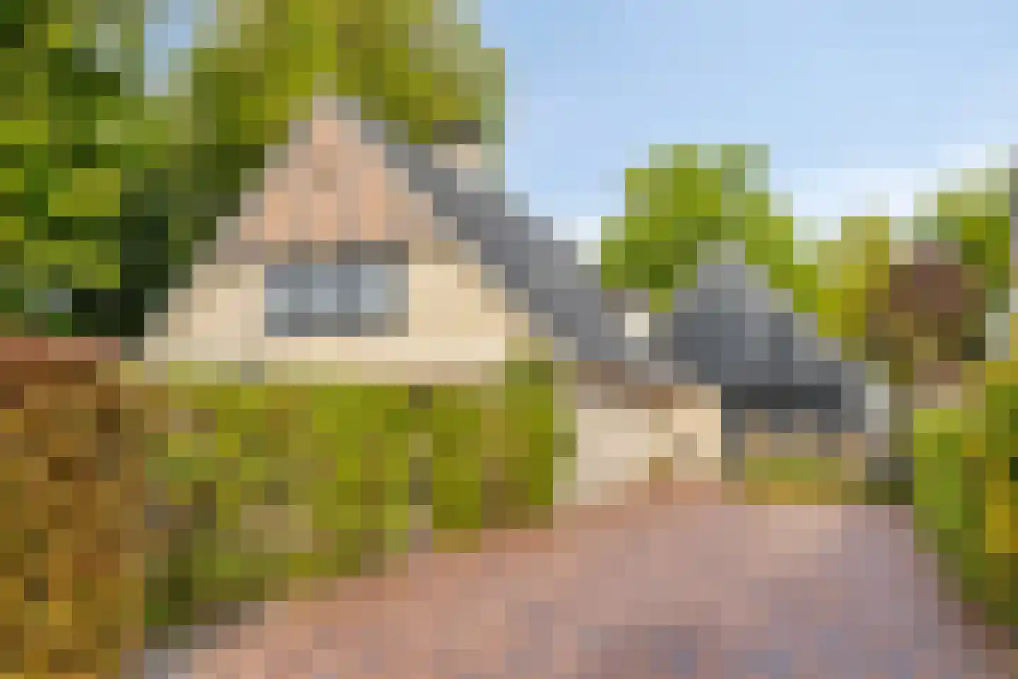 Molenbeekpark 38 Rijssen thumbnail 7