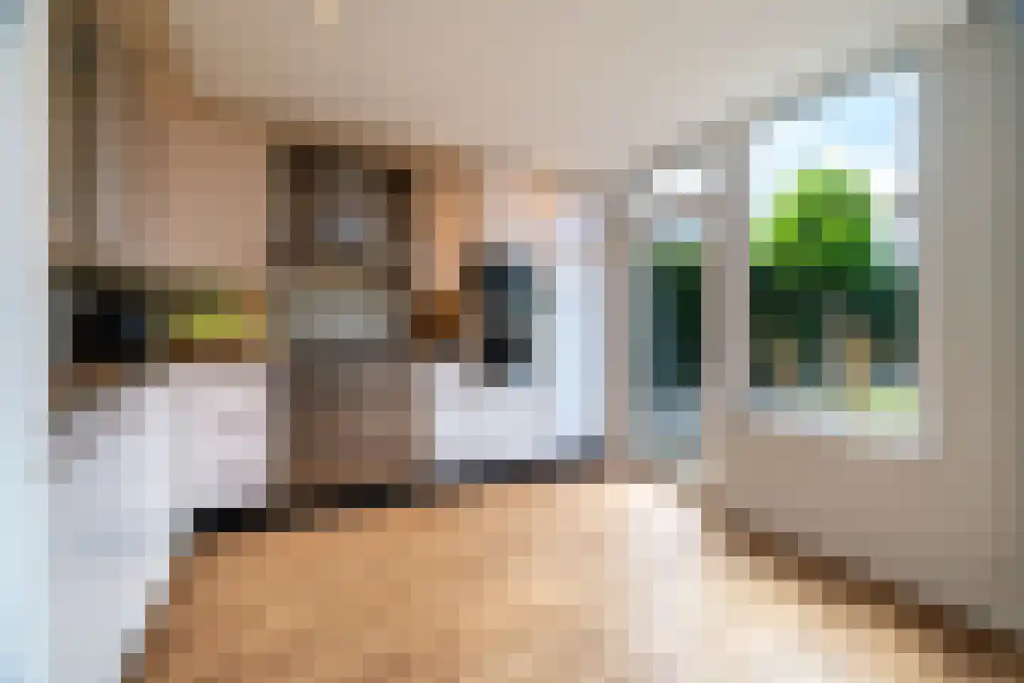 Molenbeekstraat 11 Voerendaal thumbnail 11