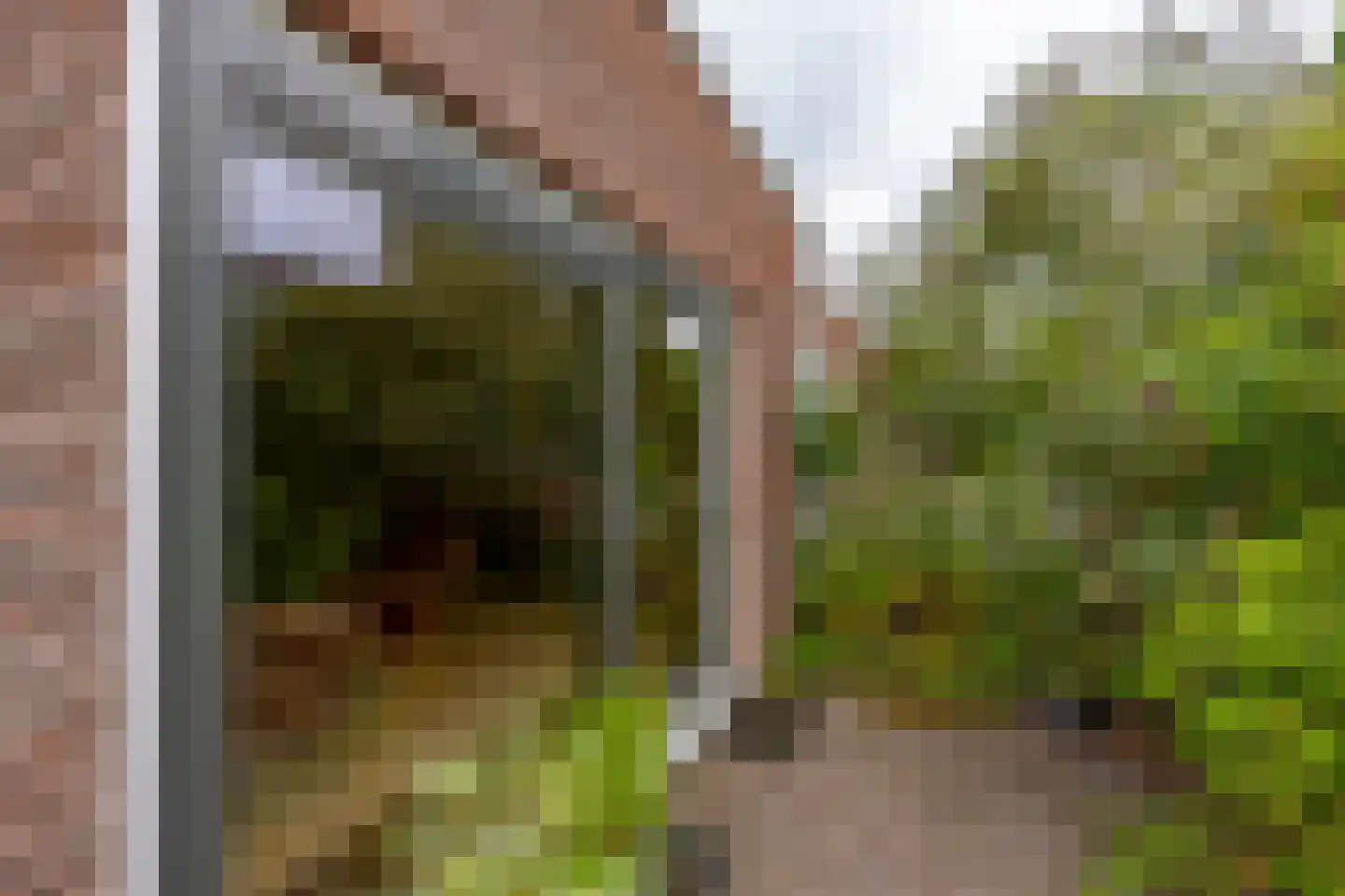 Molenbeekstraat 15 Utrecht thumbnail 22
