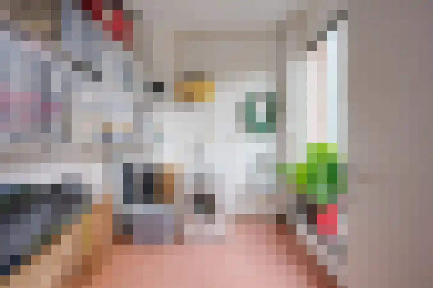Molenbeekstraat 15 Utrecht thumbnail 52