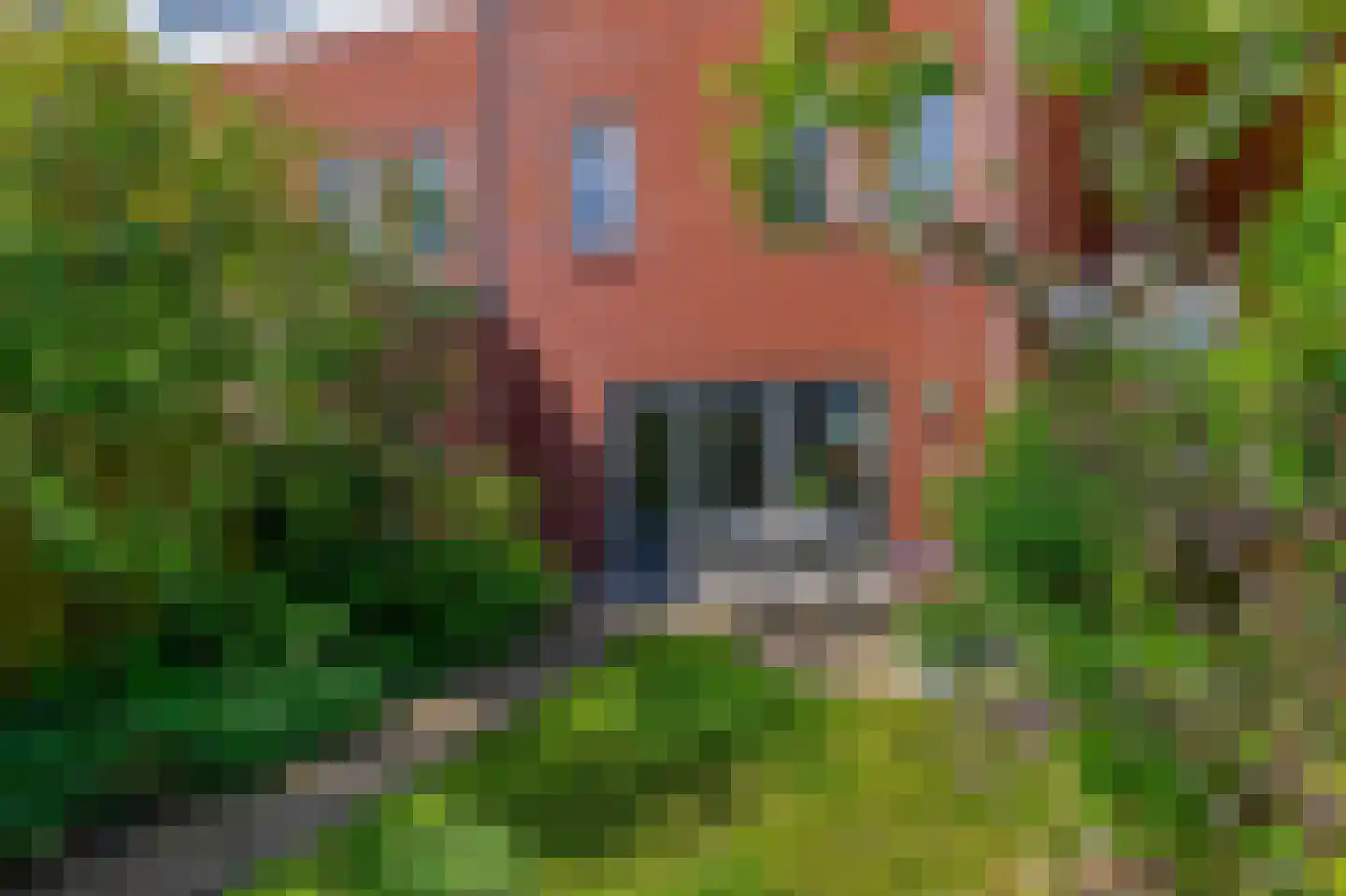 Molenbeekstraat 17 Utrecht thumbnail 25