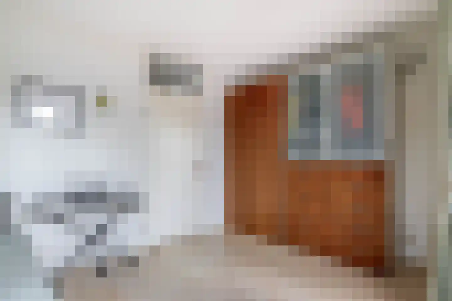 Molenbeekstraat 17 Utrecht thumbnail 29