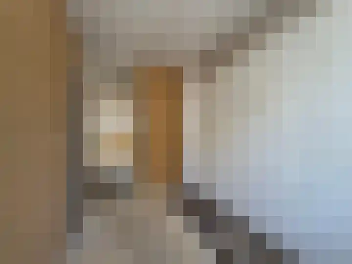 Molenbeekstraat 2 Roosendaal thumbnail 20