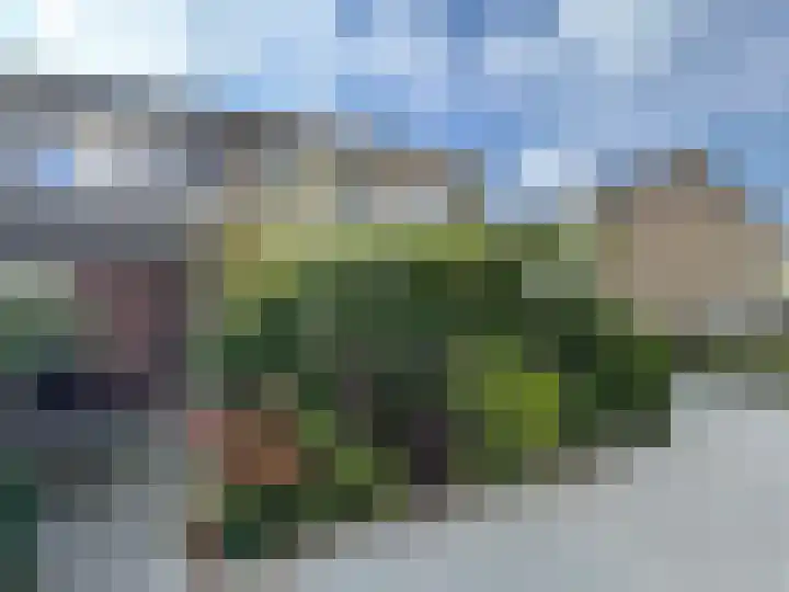 Molenbeekstraat 2 Roosendaal thumbnail 34