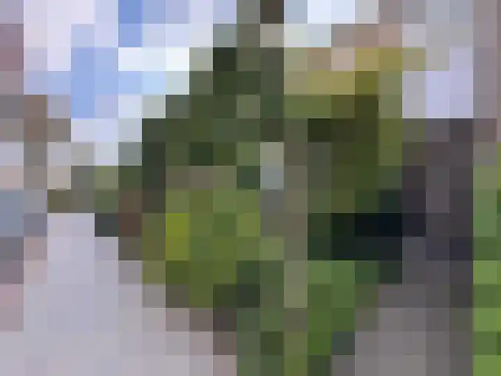 Molenbeekstraat 2 Roosendaal thumbnail 37